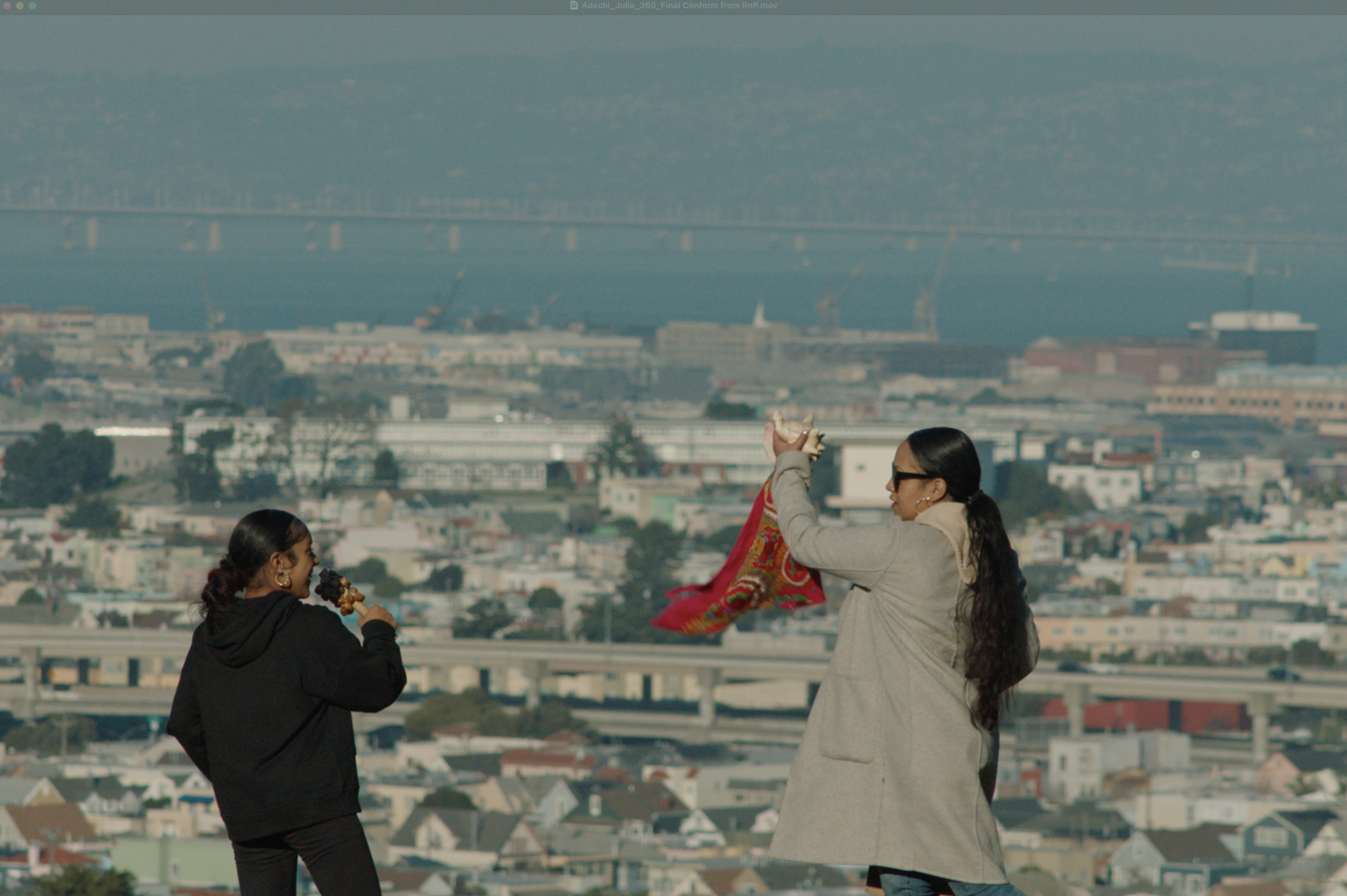 Two people stand atop a lookout point, overlooking San Francisco. 